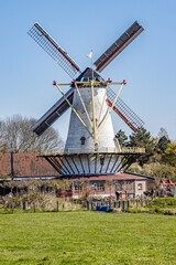 Fototapeta na wymiar Dutch windmill with its blades with red lines with trees in the background, farmland with green grass, sunny day with clear blue sky in Schouwen-Duiveland, Zeeland, Netherlands