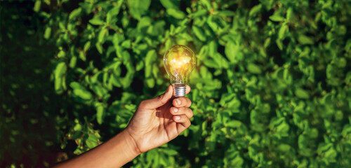 Hand holding light bulb,natural energy and love the world concept.	