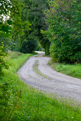 Fototapeta na wymiar gravel road going through rural area in Sweden