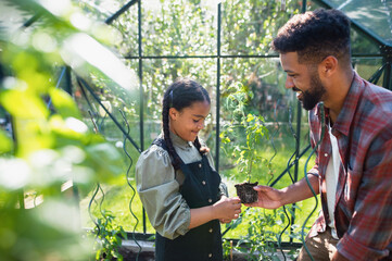 Happy young father with small daughter working outdoors in backyard, gardening and greenhouse concept.