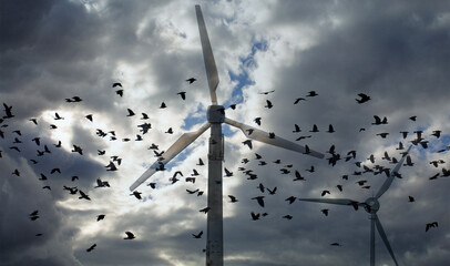 Vogelschwarm vor einem Windrad, Ostfriesland.