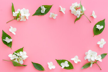 Frame of white jasmine flowers. Top view flat lay
