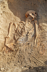 Exhumed human skeleton