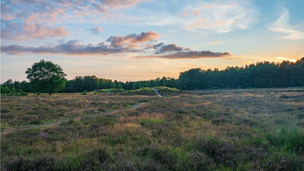 Fototapeta na wymiar Sunset with two historic burial mounts with beautiful golden light during golden hour at the zuiderheide, stock photography Hilversum, Noord-Holland, The Netherlanslands