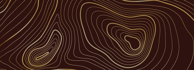 Topographic background. Sea texture, line contour map or heights path. Gold abstract topography cartography grid. Geography vector linear landscape