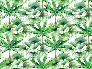 Watercolor painting tree ,banana,palm leaves seamless pattern on white background.Watercolor hand drawn illustration tropical exotic leaf prints for wallpaper,textile Hawaii aloha jungle pattern.