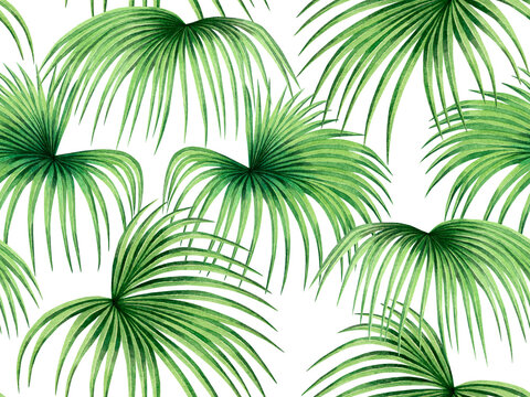 Watercolor painting palm leaves seamless pattern on white background.Watercolor hand drawn illustration tropical exotic leaf prints for wallpaper,textile Hawaii aloha jungle pattern.