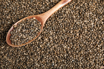 Wooden spoon and hemp seeds, top view. Space for text