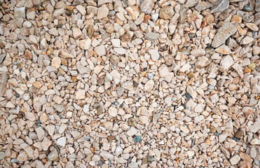 Small sea pebbles in the form of an abstract background.