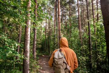 Man hiking with backpack in green forest. Back view