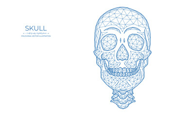 Human skull low poly art. Polygonal vector illustration of a skull front view.