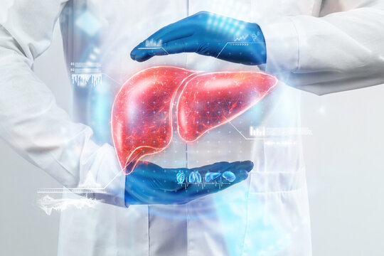 The Doctor Looks At The Liver Hologram, Checks The Test Result On The Virtual Interface, And Analyzes The Data. Liver Disease, Donation, Innovative Technologies, Medicine Of The Future