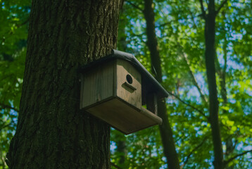 bird house on tree