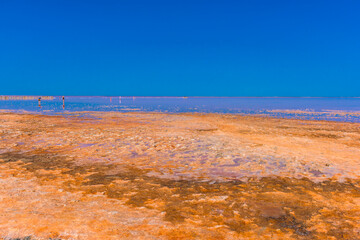 Salt lake with pink salt and the blue sky with clouds. Sasyk-Sivash pink salt lake in Crimea.