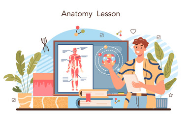 Anatomy school subject. Internal human organ studying. Anatomy