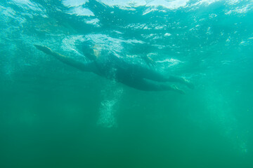 Fototapeta na wymiar Triathlete swimming in a lake, underwater perspective