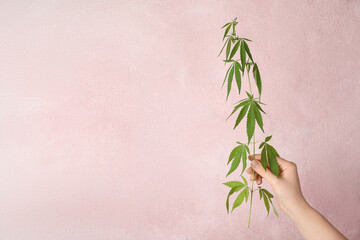 Woman holding hemp plant on light pink background, closeup. Space for text