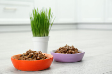 Wet pet food and green grass on floor indoors, space for text