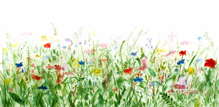 Seamless wildflowers lawn border or frame. Bloomy flowering meadow. Multicolor wild flowers. Hand drawing watercolor summer floral green field or glade illustration. Hand painting pattern background