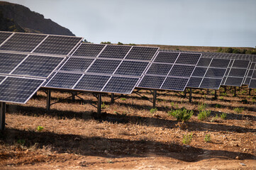 Solar panels energy field in Mallorca