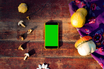 Smartphone in a yellow case on an aged red wooden background. Surrounded by the autumn harvest. Pumpkin, seeds, dried mushrooms, violet textile. Copy space. Selective focus.