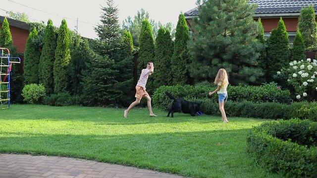 long haired young girl and hipster teen boy in stripped summer shirtsplaying on green grass with black Labrador retriever. 