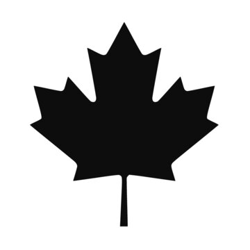 Vector flat style illustration of the famous Canadian maple leaf isolated on white background. Full editable and scalable Canada symbol icon