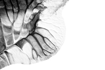 black white abstract acrylic painting color texture on white paper background by using rorschach inkblot method