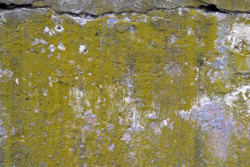 Texture of old concrete wall with yellow olive stains for background