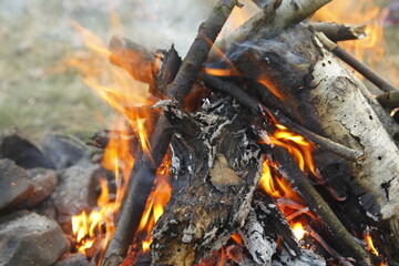 bonfire fire burning wood