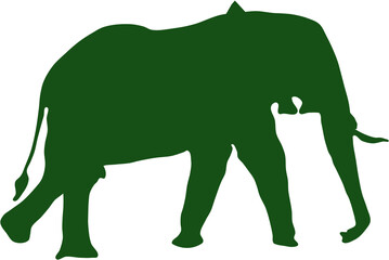  elephant vector shadow walking 