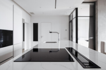 Fototapeta na wymiar Stylish minimal monochrome kitchen with domestic appliances