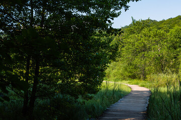 Fototapeta premium クロアチア プリトヴィツェ湖群国立公園の歩道