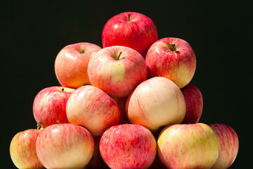 Fototapeta na wymiar Melba apples. Ripe Melba apples are stacked in a heap on a black background