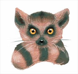 Portrait of a cute watercolor lemur on a white background. Illustration, children's animal print for a postcard. Vector. © anna