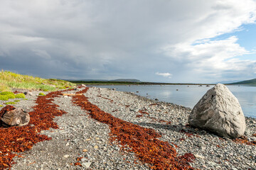 Beautiful landscape of the coast of the Barents Sea on the Kola Peninsula, Russia. Soft focus.
