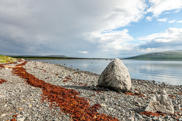 Beautiful landscape of the coast of the Barents Sea on the Kola Peninsula, Russia. Soft focus.