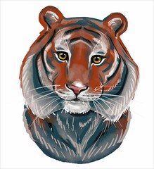 Portrait of a cute watercolor tiger on a white background. A clipart-style illustration for a children's postcard. Vector.