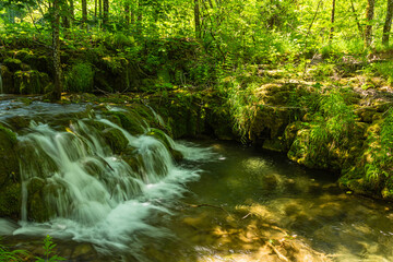 Obraz premium クロアチア プリトヴィツェ湖群国立公園の原生林の中の滝