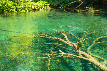 クロアチア　プリトヴィツェ湖群国立公園の澄んだエメラルドグリーンの湖