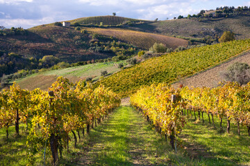 Vineyards and winery among hills, countryside landscape