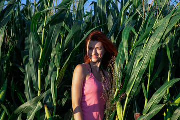 beautiful girl with red hair in a cornfield
