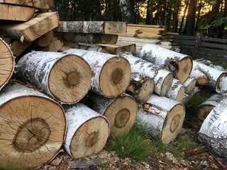 stack of firewood