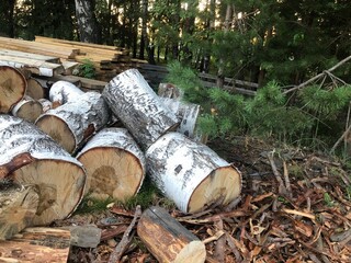 stack of firewood