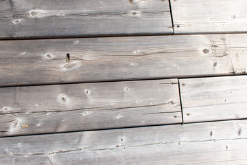 Obraz premium Light Wood Texture Background Close Up