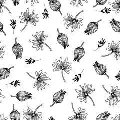 Obraz premium Black and White Botanicals Vector Seamless Pattern