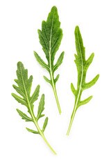 Arugula leaves isolated on white background. Closeup fresh wild rocket leaves on white background top view.