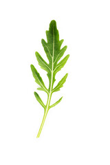 Arugula leaves isolated on white background. Closeup fresh wild rocket leaves on white background top view.