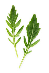 Arugula leaves isolated on white background. Closeup fresh wild rocket leaves on white background top view.