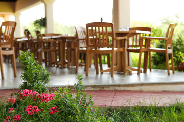 Fototapeta na wymiar flowers and table and chairs outside the restaurant